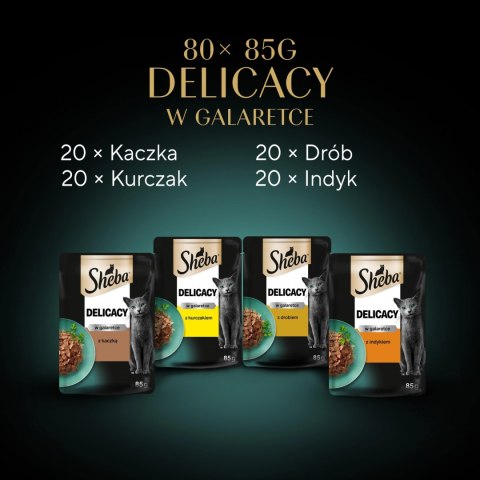 Sheba Delicacy Drobiowe Smaki W Galaretce, Z Kaczką, Z Kurczakiem, Z Drobiem, Z Indykiem 80x85g Sheba Delicacy Drobiowe Smaki W Galaretce, Z Kaczką, Z Kurczakiem, Z Drobiem, Z Indykiem 80x85g