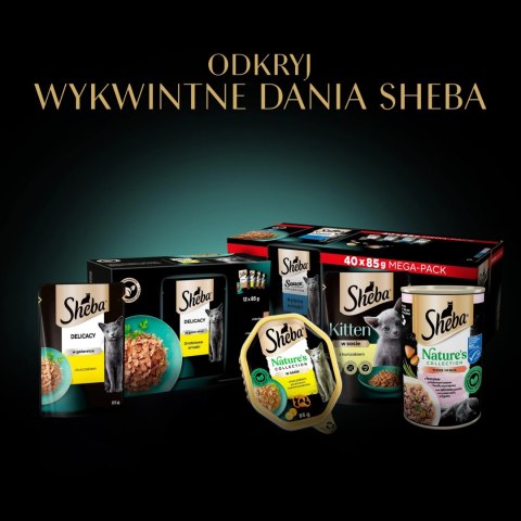 Sheba Delicacy Drobiowe Smaki W Galaretce, Z Kaczką, Z Kurczakiem, Z Drobiem, Z Indykiem 80x85g Sheba Delicacy Drobiowe Smaki W Galaretce, Z Kaczką, Z Kurczakiem, Z Drobiem, Z Indykiem 80x85g