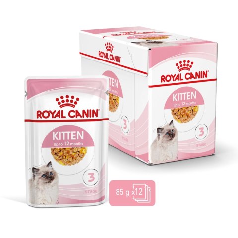 ROYAL CANIN Kitten Instinctive W Galaretce 12x85g ROYAL CANIN Kitten Instinctive W Galaretce 12x85g