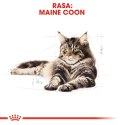 ROYAL CANIN Maine Coon Adult 10kg + 2kg