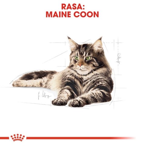 ROYAL CANIN Maine Coon Adult 10kg + 2kg ROYAL CANIN Maine Coon Adult 10kg + 2kg