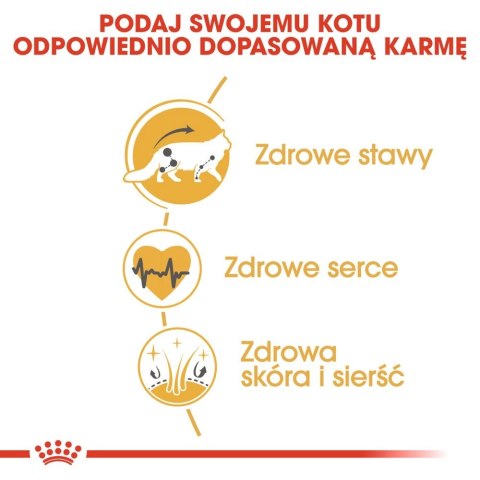 ROYAL CANIN Maine Coon Adult 10kg + 2kg ROYAL CANIN Maine Coon Adult 10kg + 2kg