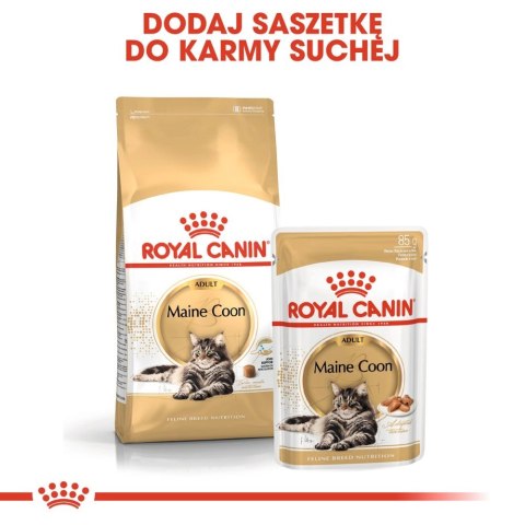 ROYAL CANIN Maine Coon Adult 10kg + 2kg ROYAL CANIN Maine Coon Adult 10kg + 2kg