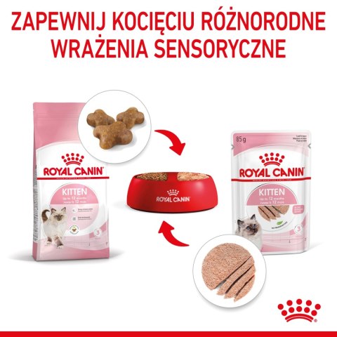ROYAL CANIN Kitten Pasztet 12x85g ROYAL CANIN Kitten Pasztet 12x85g