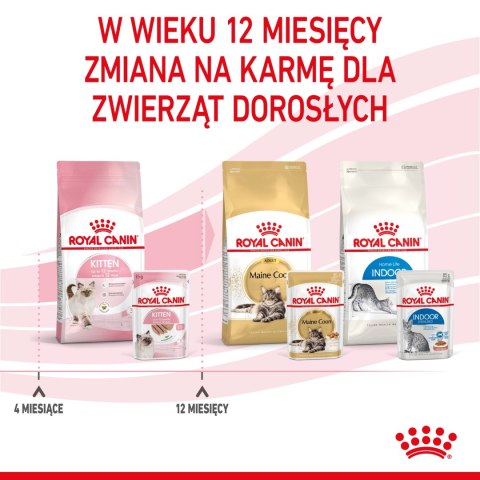 ROYAL CANIN Kitten Pasztet 12x85g ROYAL CANIN Kitten Pasztet 12x85g
