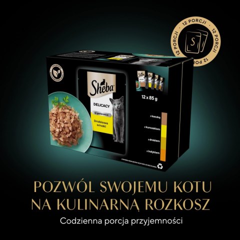Sheba Saszetka Delicacy In Jelly Smaki Drobiowe 12x85g Sheba Saszetka Delicacy In Jelly Smaki Drobiowe 12x85g