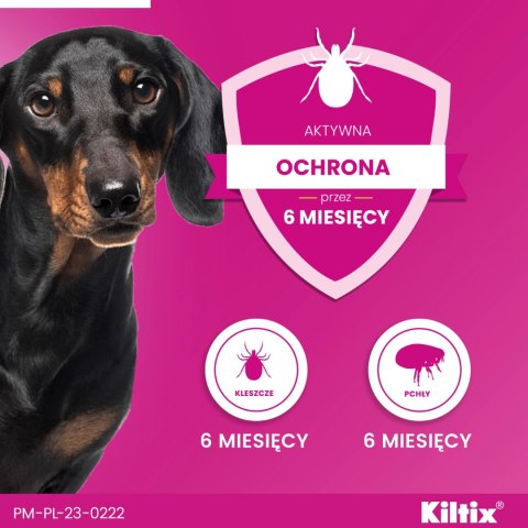 Bayer Kiltix Obroża Na Kleszcze I Pchły Dla Psa 38cm Bayer Kiltix Obroża Na Kleszcze I Pchły Dla Psa 38cm