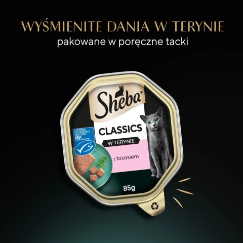 Sheba Classics Z Łososiem 85g Sheba Classics Z Łososiem 85g